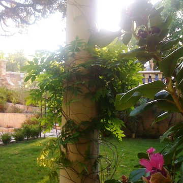 walnut creek garden