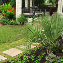 Shady Bywater Backyard