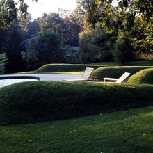 Landscape Ideas