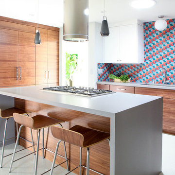 Livermore Midcentury Modern