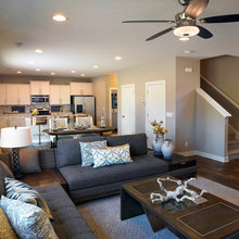 Living Room Ideas