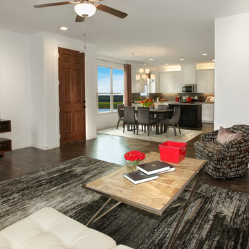 Viridian - Phase VI - Arlington, TX