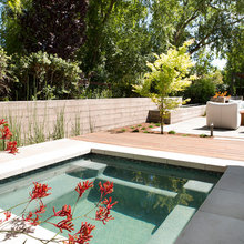 Future Backyard