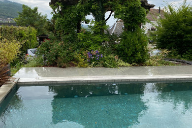 Exemple d'un piscine avec aménagement paysager arrière moderne de taille moyenne et rectangle avec du béton estampé.