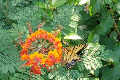 Ejemplo de fachada de casa moderna pequeña de dos plantas