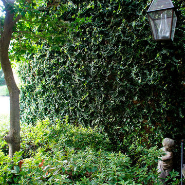 English Courtyard Garden