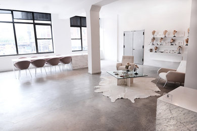 DANNIJO | Office + Showroom