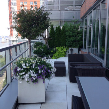 Battery Park City Terrace