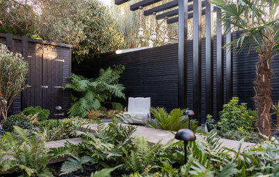 Yard of the Week: Small Leafy Haven With Year-Round Appeal