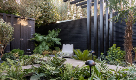 Yard of the Week: Small Leafy Haven With Year-Round Appeal