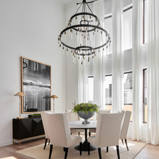 Belterra Project- Furnishings, Light Fixtures & Interior Design