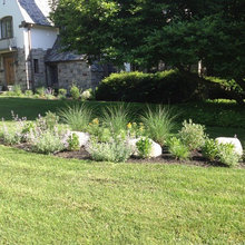 Landscaping