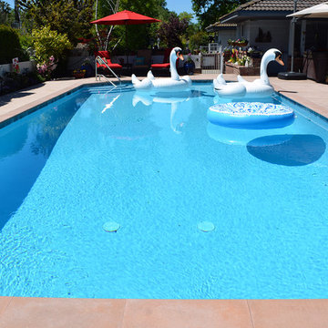 Extensive Remodel- Swan Life