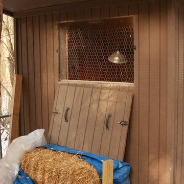 Chicken Coop