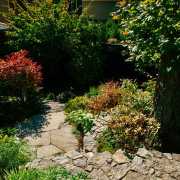 Garden Entry/Path