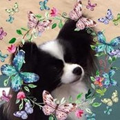 Mandy Thorntons billede