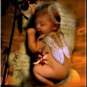 Cindy Hines's photo