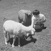 Kimba Li's photo