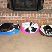 Emily Harnish's photo