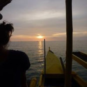 Laura Fleischmann's photo