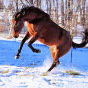 gail hartley's photo