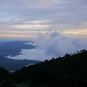 Manson Goh's photo