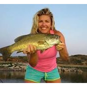 Amy O'Brien Wiening's photo