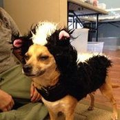 Stacy Warrington's photo
