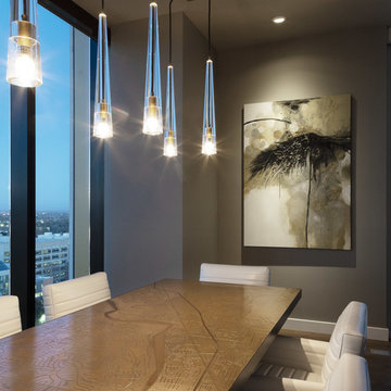 Sacramento Penthouse