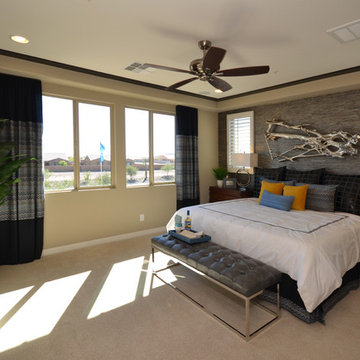 Desert Intrigue @ Vistancia | Peoria, AZ | 4093 - Discover