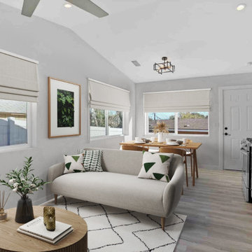 Living Room / Dining Room / Kitchen