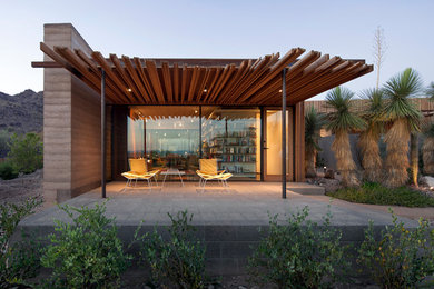 Trendy brown one-story wood exterior home photo in Phoenix