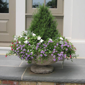 Container Pot Gardens