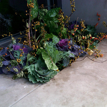 Seasonal Color