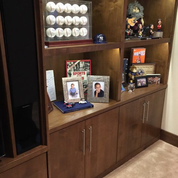 Scottsdale Sports Theme