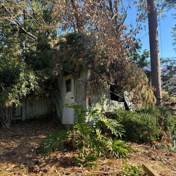 First Response Tree Experts