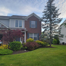 Front yard
