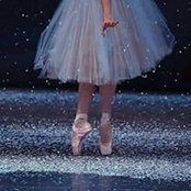Ghada Shabanaa's photo