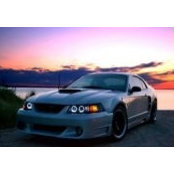 CJ Lutzke's photo