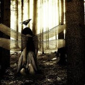 Susannah Harvey's photo