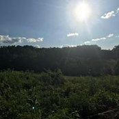 Kels Scenters's photo