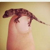 Andrew Marra's photo