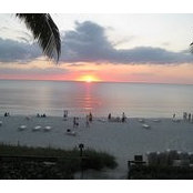 Janis Carter's photo