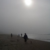 Sheila Cohen's photo