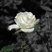 Hien Mai's photo