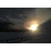 Lisa Platts's photo