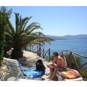 James Duffy's photo