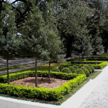 Front Landscaping