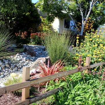 Rainwater Harvesting and Water Conserving