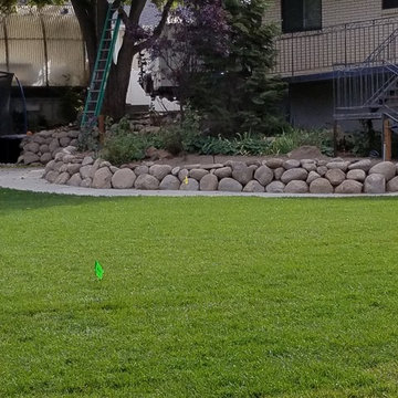Landscaping Vineyard